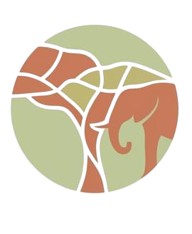 Savanna Skin Logo